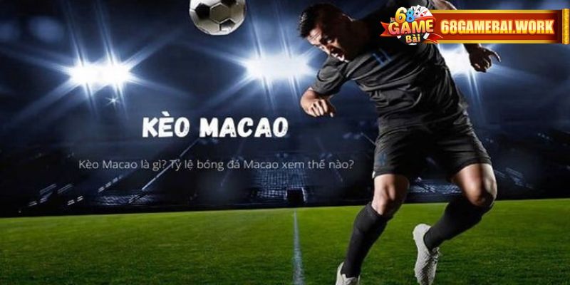 Cược chấp ½ trái đơn giản hiện nay
